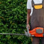 The Benefits of Regular Hedge Maintenance for Your Property