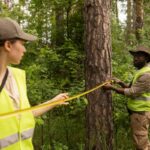 Affordable Tree Removal Services Near Me: Finding Quality on a Budget