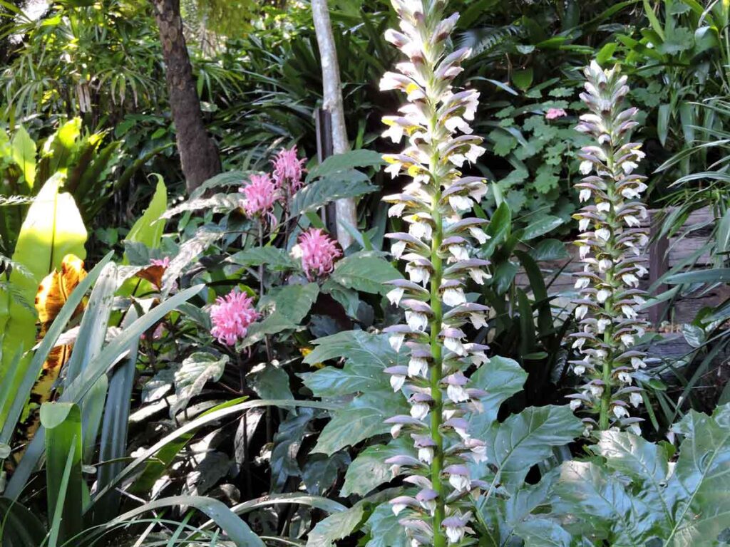 Lavender Bay Florist: Flowers for the Suburb With Sydney's Best Secret Garden

