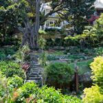 Lavender Bay Florist: Flowers for the Suburb With Sydney’s Best Secret Garden