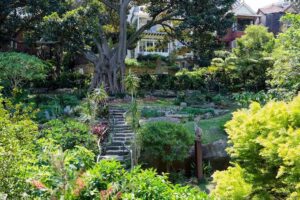 Lavender Bay Florist: Flowers for the Suburb With Sydney's Best Secret Garden