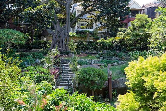 Lavender Bay Florist: Flowers for the Suburb With Sydney's Best Secret Garden