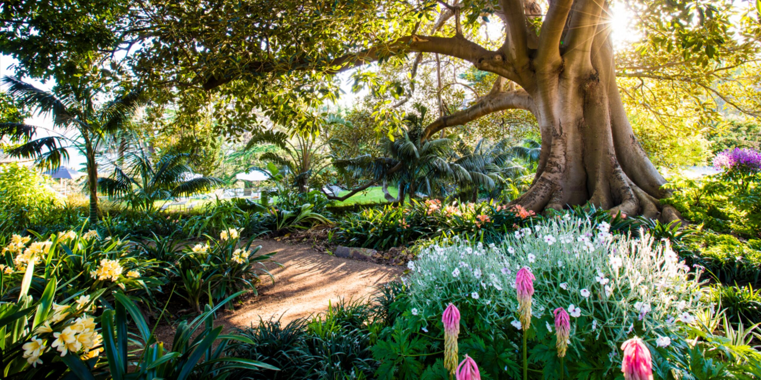 Cremorne Point Florist: Flowers for a Harbour Peninsula With a Garden Culture