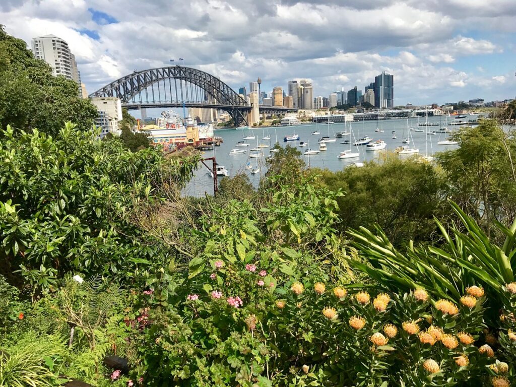 Lavender Bay Florist: Flowers for the Suburb With Sydney's Best Secret Garden

