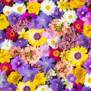 Kurraba Point Florist: Flowers for a Quiet Harbour Peninsula