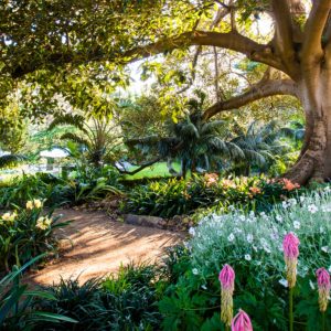 Cremorne Point Florist: Flowers for a Harbour Peninsula With a Garden Culture